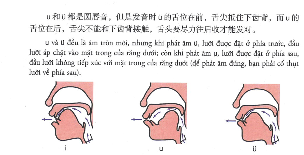About image